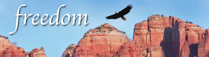 Freedom to transact business in the office or in the field